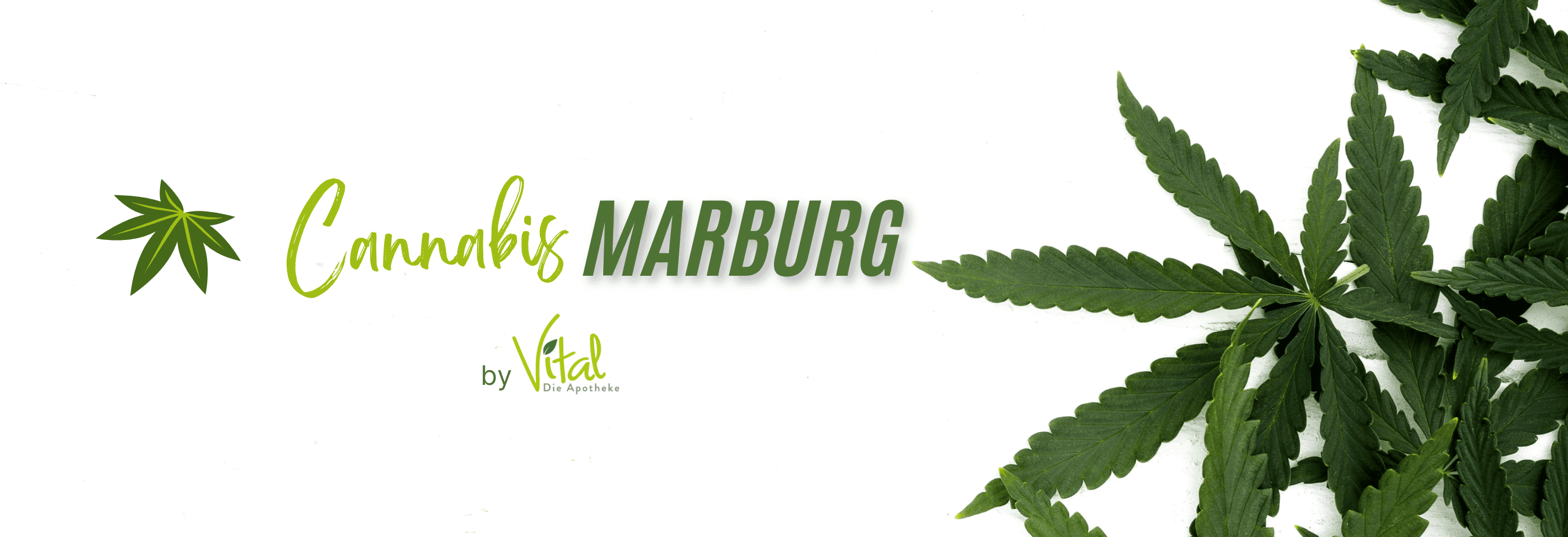 Logo von Cannabis Marburg mit Hanfblättern